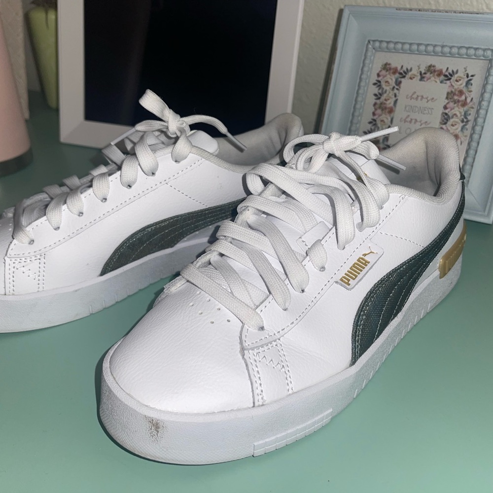 8.5 PUMAS